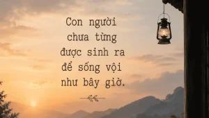 Sống vội. Co người không sinh ra để sống như vậy