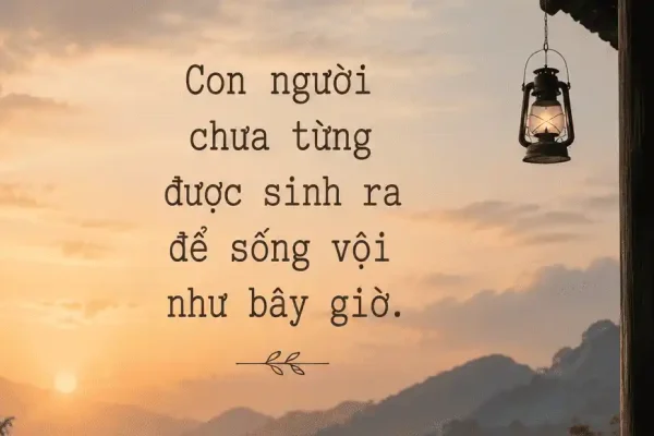 Sống vội. Co người không sinh ra để sống như vậy